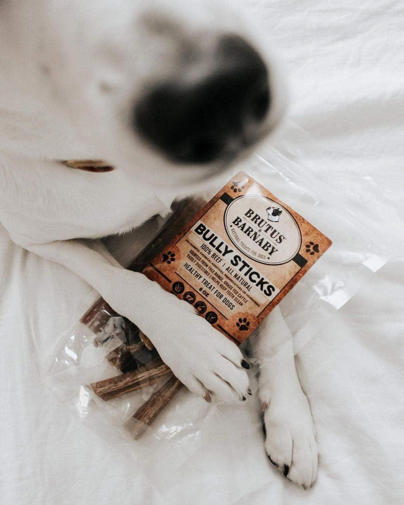 Bully Sticks 6" - All Natural Beef