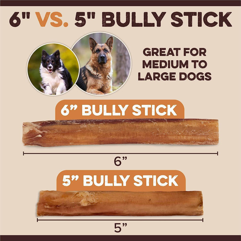 Bully Sticks 5" - All Natural Beef