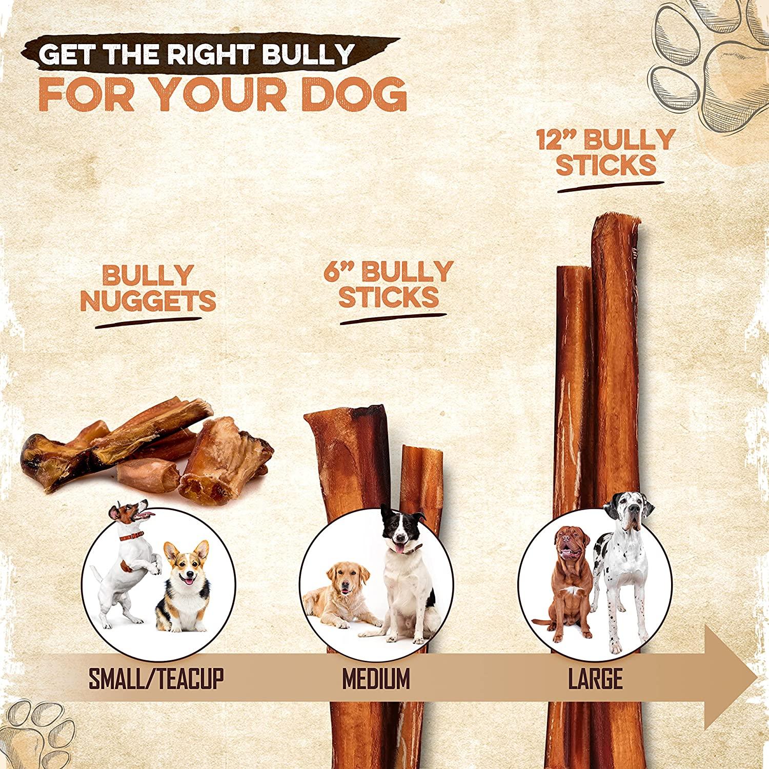 Bully Sticks 6