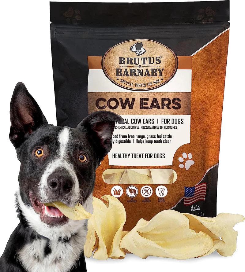 Bulk Cow Ears For Dogs - 100 Count - Tattoo'd Ears - Brutus & Barnaby