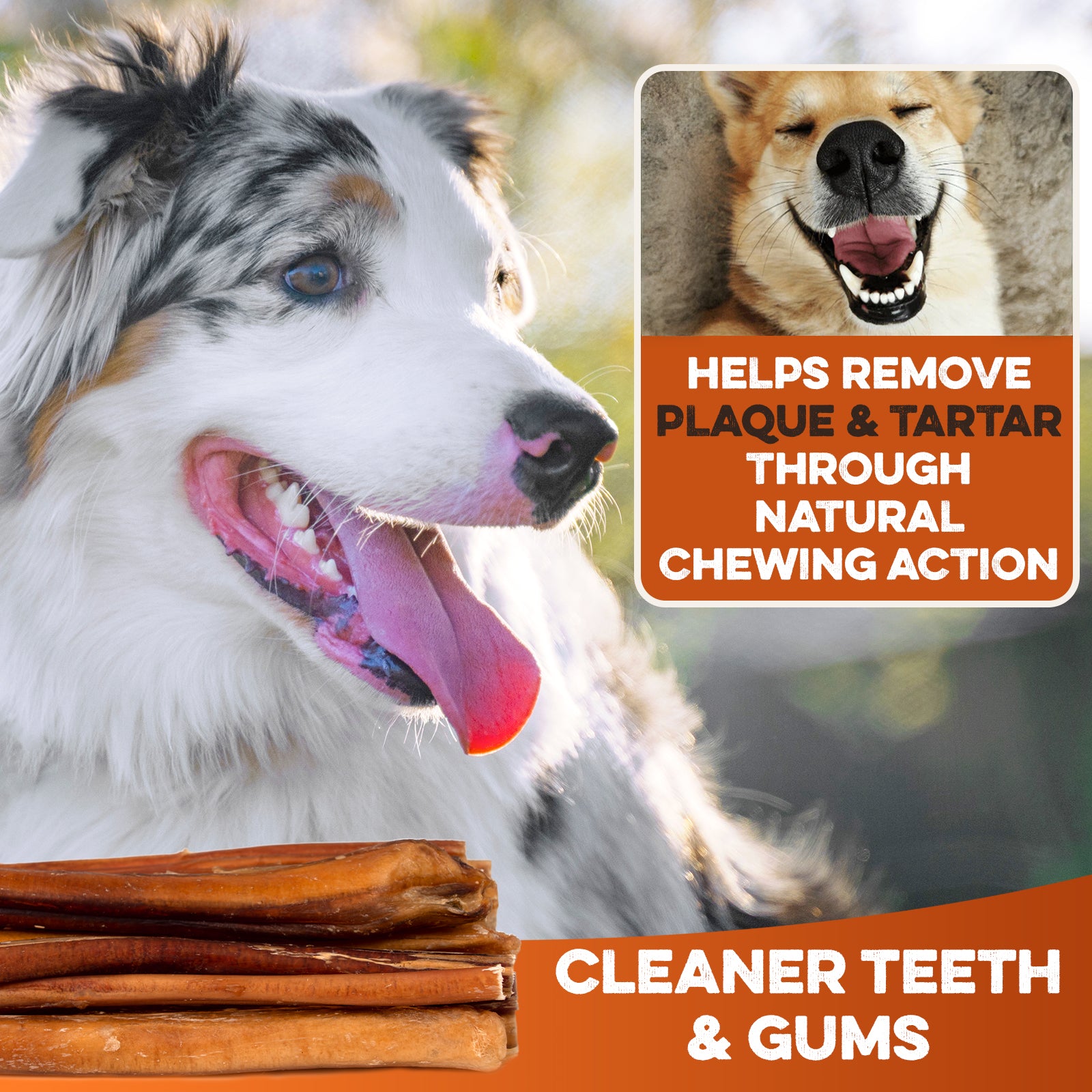 All-natural bully sticks for cleaner teeth and gums, helping remove plaque & tartar through chewing