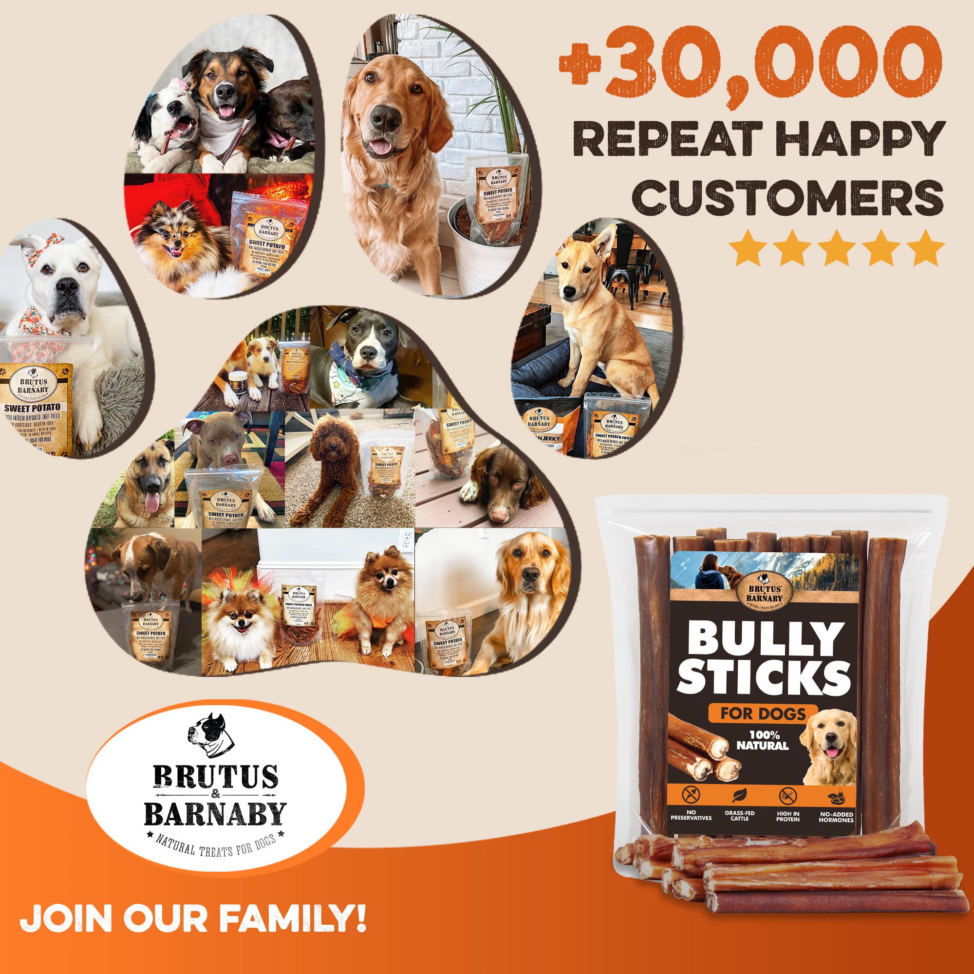 All-natural bully sticks for dogs, 100% natural, high protein, no additives. Happy dogs enjoying treats.