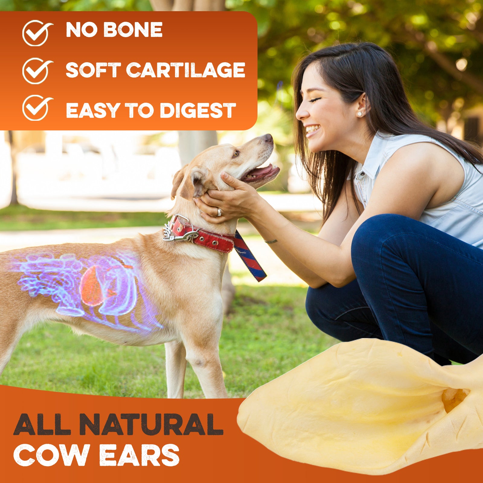 All natural cow ears dog chew, no bone, soft cartilage, easy to digest, safe treat for dogs