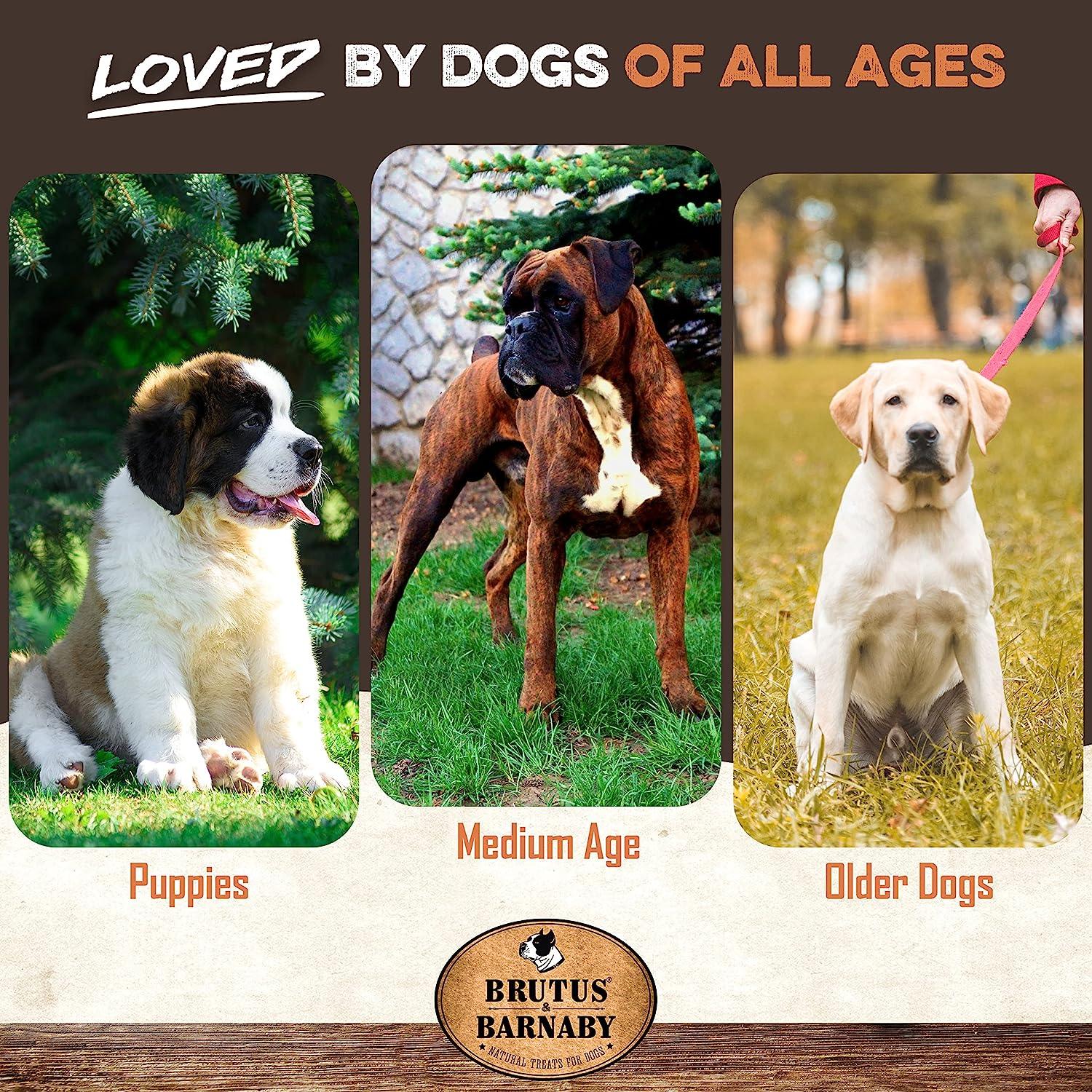 All-natural dog treats loved by puppies, medium age, and older dogs — safe, digestible chews for every life stage.