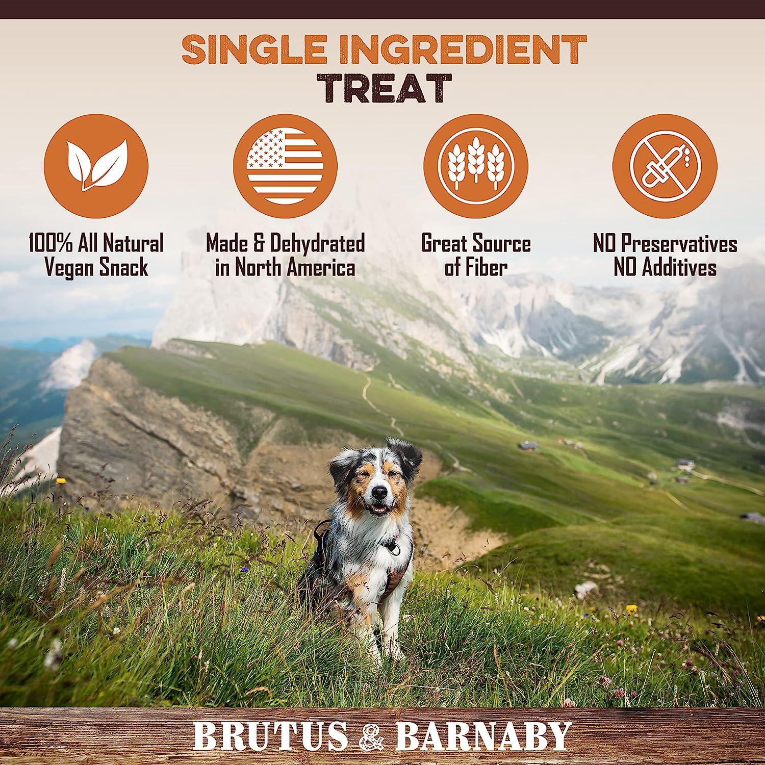 All-natural vegan dog treat, single ingredient, made in North America, no preservatives, great fiber source