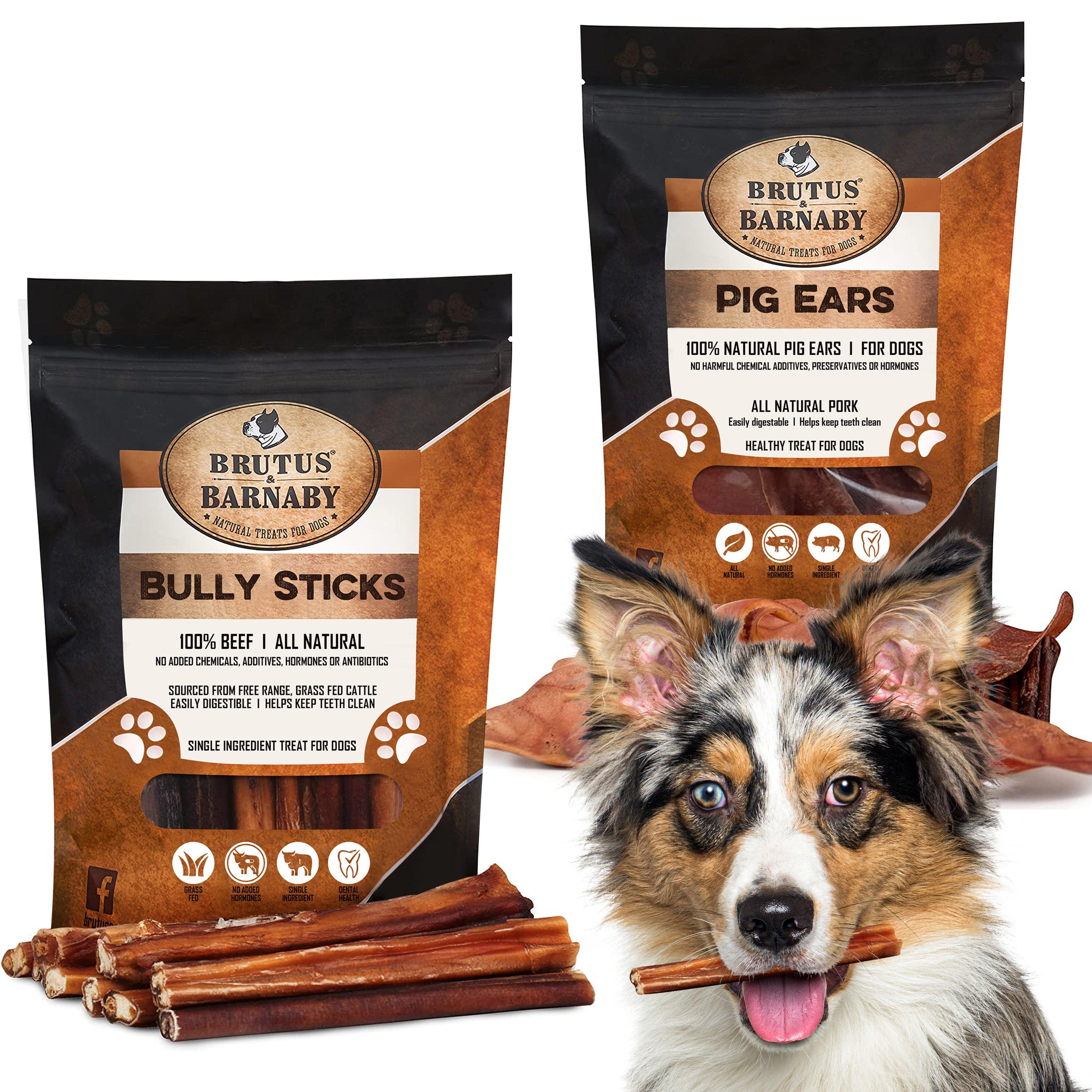 Natural Whole Pig Ear Dog Treat + Bully Sticks for Dogs - 6-Inch Low Odor, Premium Pizzle Without Added Hormones - Brutus & Barnaby