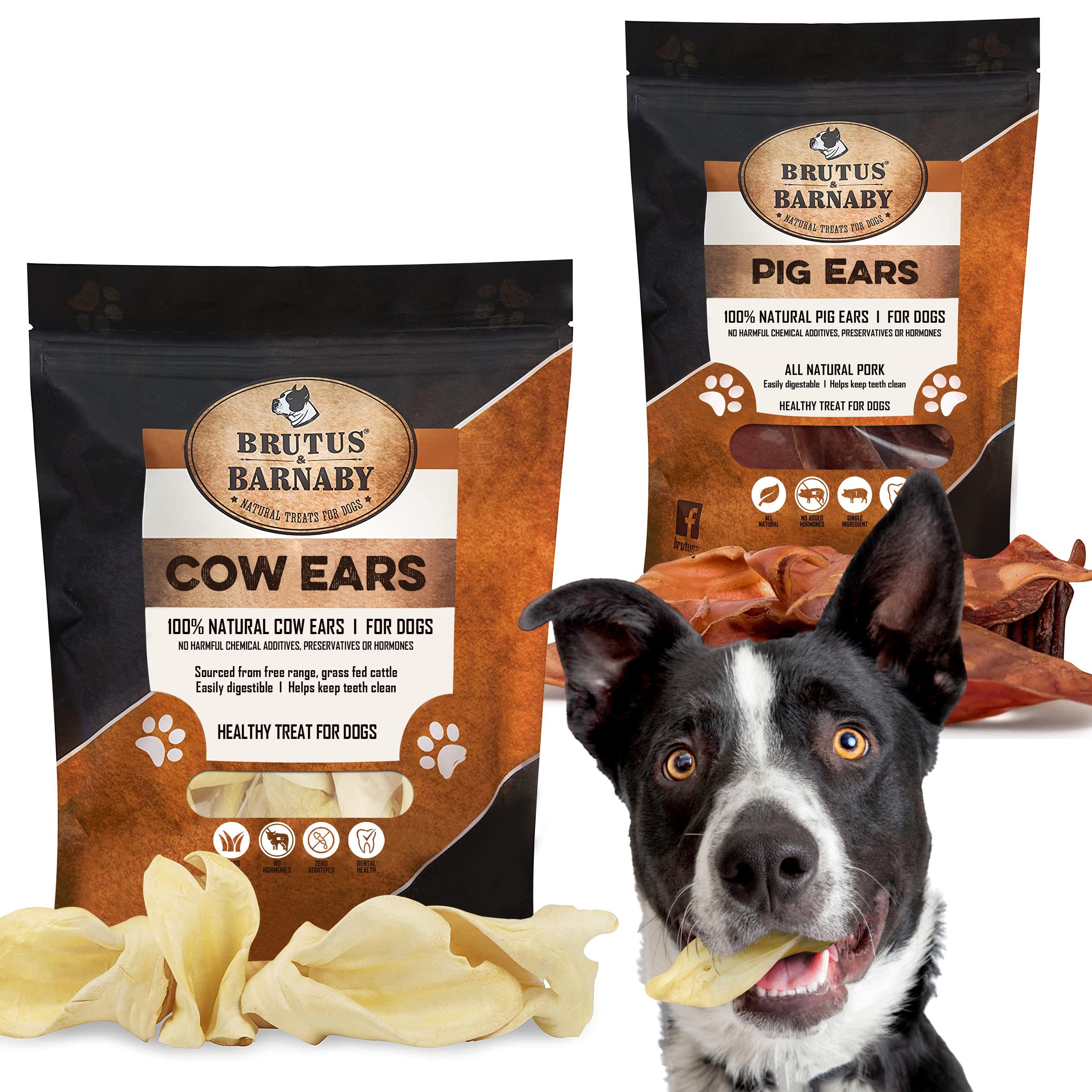 12 Cow Ears + 12 Pig Ears, All Natural, Whole Dog Treats - Brutus & Barnaby