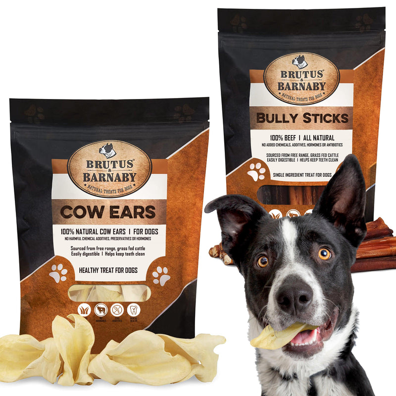 12 Cow Ears + 12 Bully Sticks, All Natural Protein Dog Treats