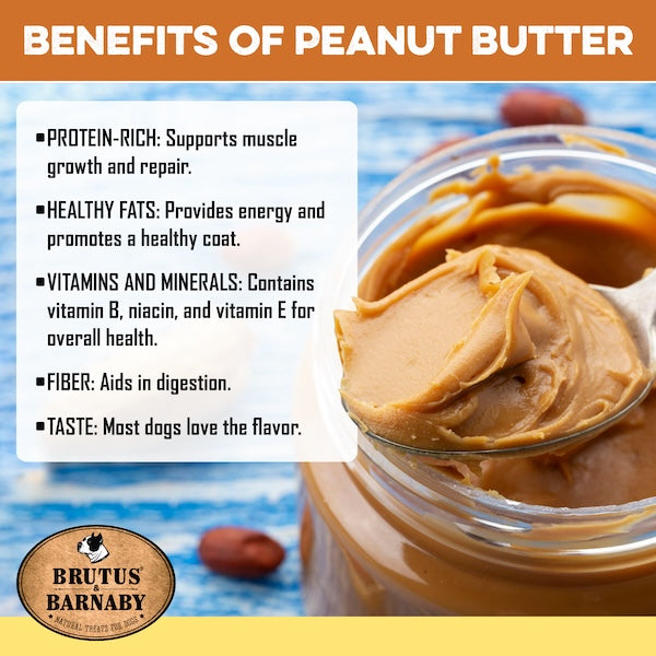 Peanut butter for dogs: protein-rich, healthy fats, vitamins, fiber & tasty—perfect for canine treats