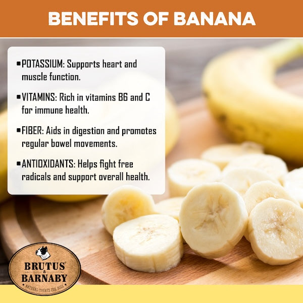 Sliced banana benefits for dogs: potassium, vitamins B6 & C, fiber, antioxidants — natural dog treat ingredient