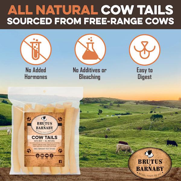 Cow Tails Dog Treat - 100% Natural Single Ingredient Treat - Thick & Hearty Chew