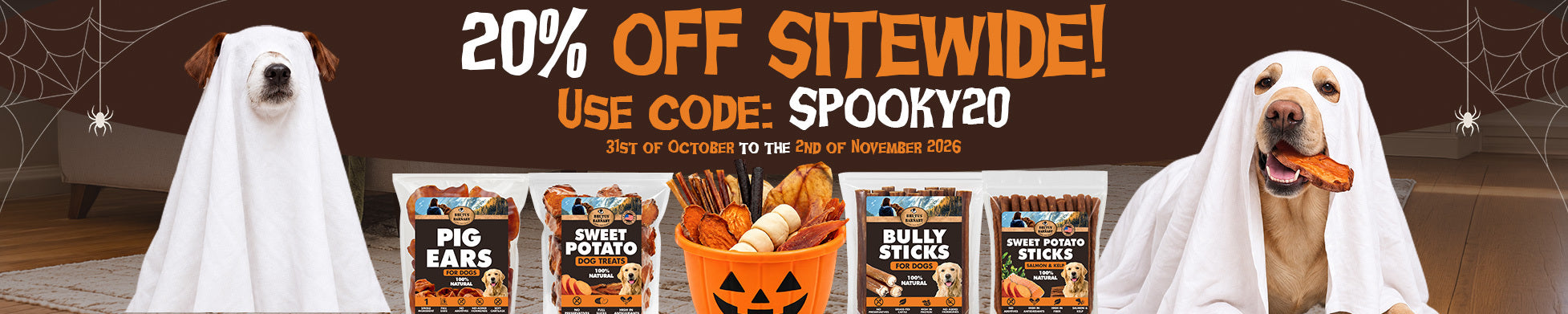 Homepage banner