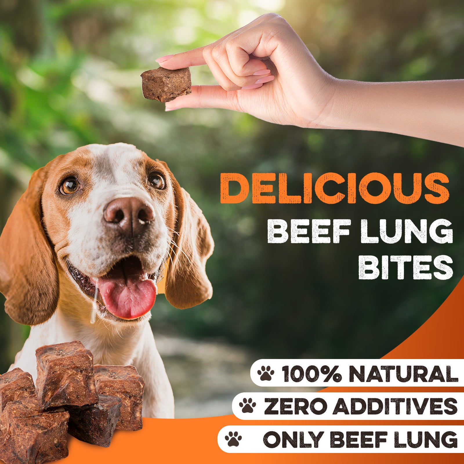 Beagle dog excited for all-natural beef lung bites treat, 100% natural, zero additives, made in USA