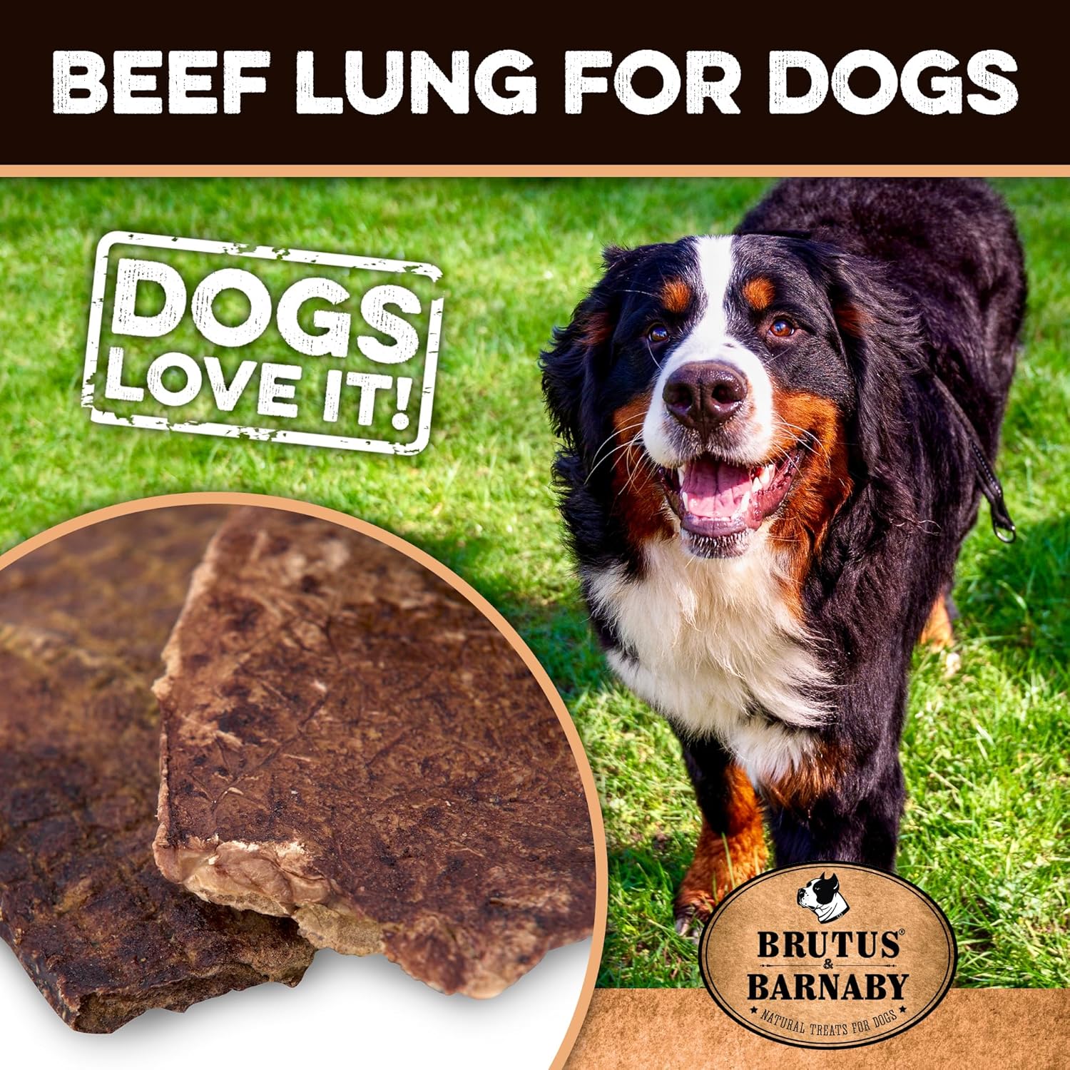 Beef lung dog treat with happy Bernese Mountain Dog on grass, natural chew for dogs