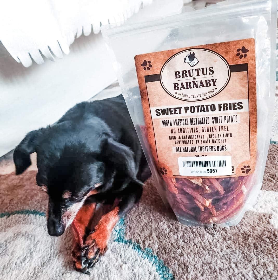 Black dog resting beside bag of all-natural sweet potato fries dog treats, gluten-free and made in USA