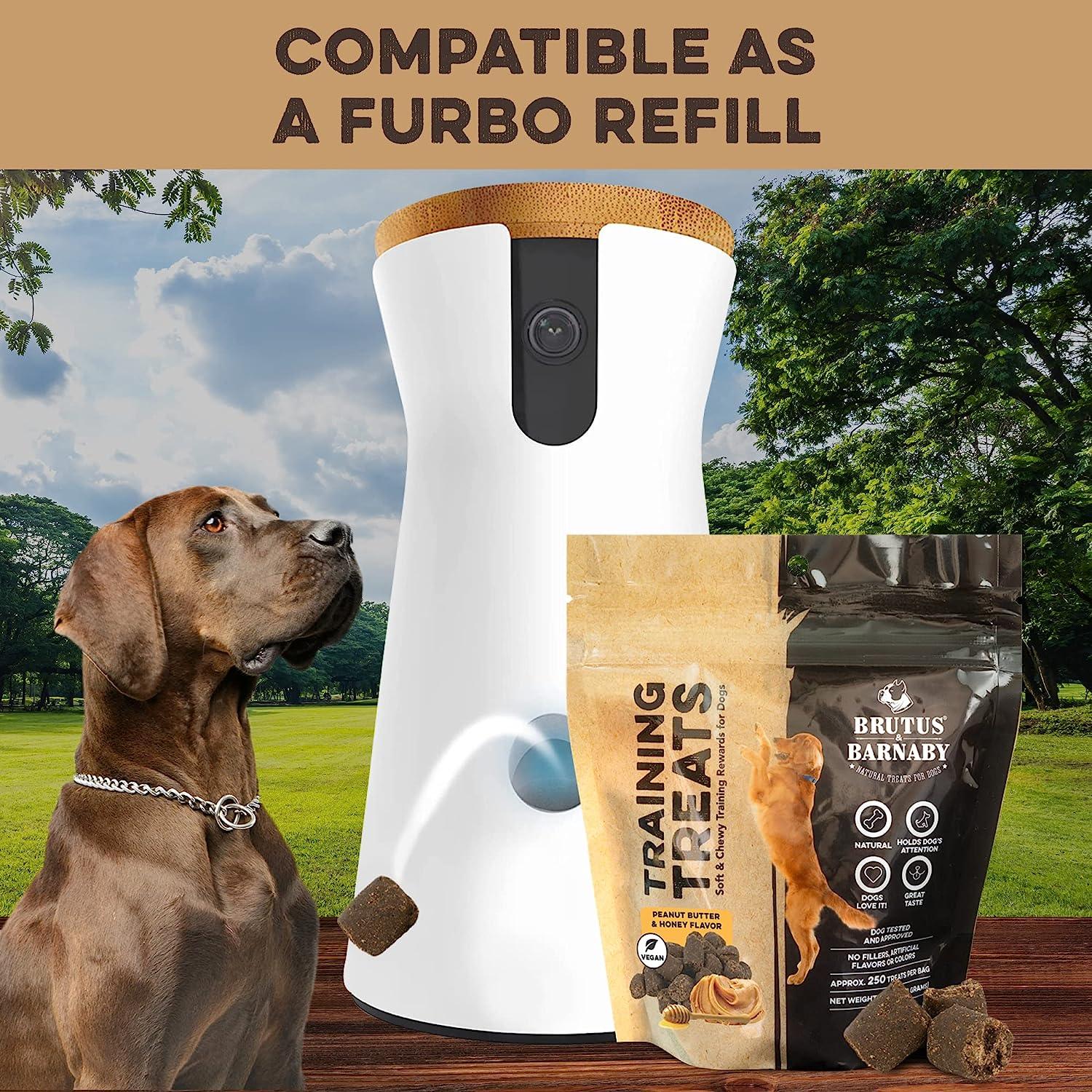 Brutus & Barnaby peanut butter training treats for dogs, compatible with Furbo dispenser, shown with dog outdoors