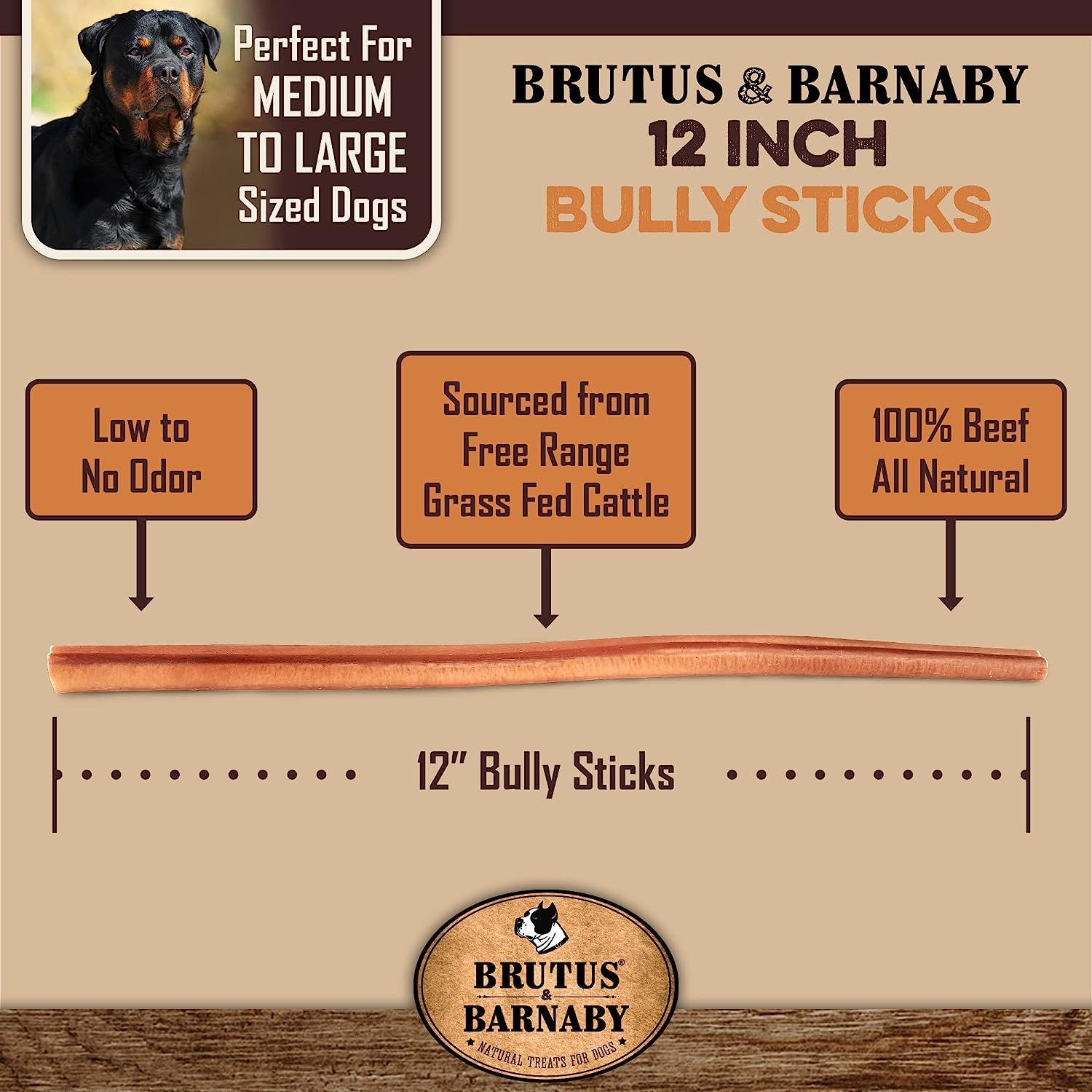 Brutus & Barnaby 12 inch bully sticks for medium and large dogs, natural low odor beef dog chews