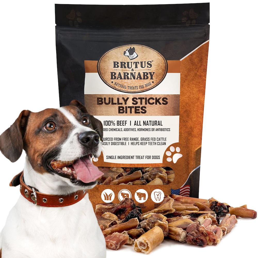 Bully Bites - Bite-Sized Bully Stick Pieces - Brutus & Barnaby