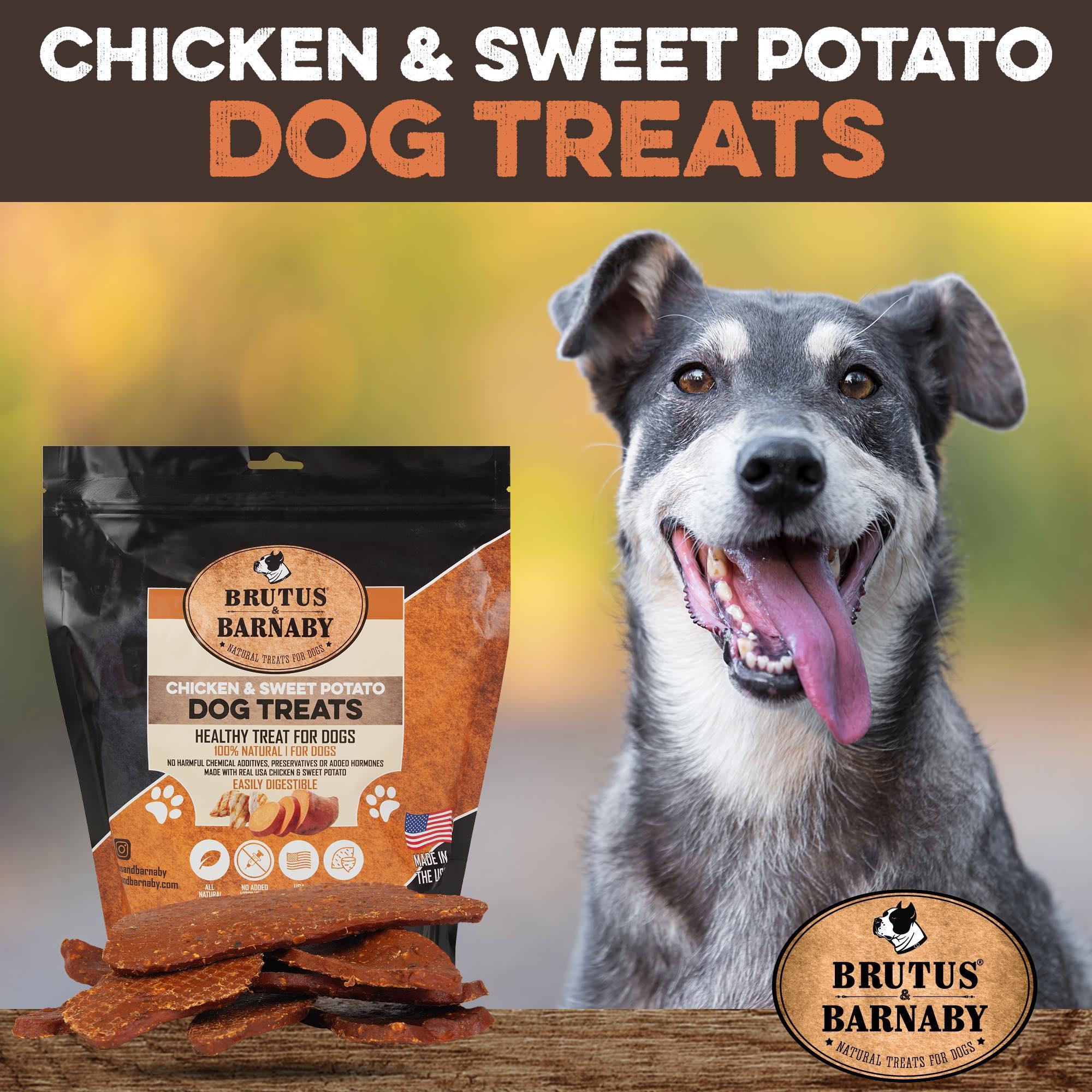 Chicken & sweet potato dog treats, all-natural, made in USA, with happy dog beside bag