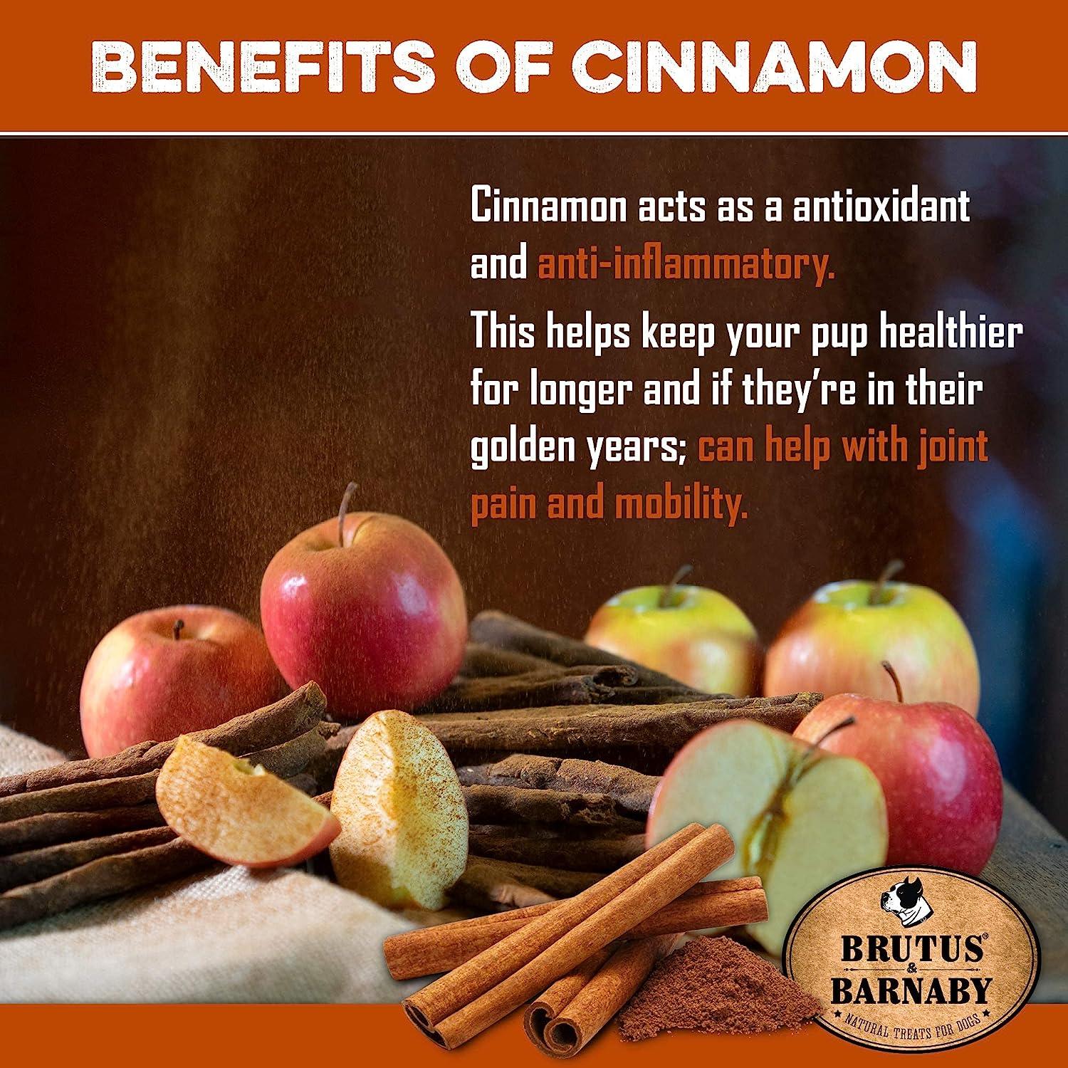 Cinnamon sticks, apples, and powder highlighting antioxidant benefits for dogs’ joint health and mobility