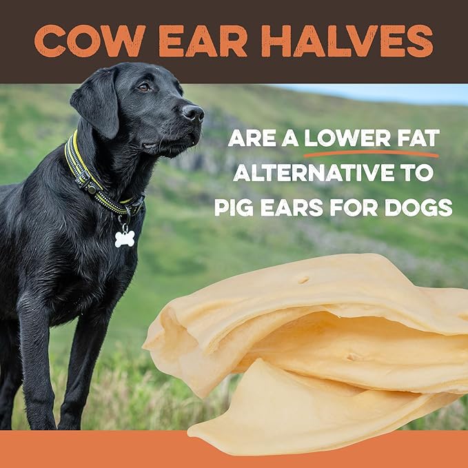 Cow ear halves for dogs — lower fat chew alternative, shown with black Labrador outdoors