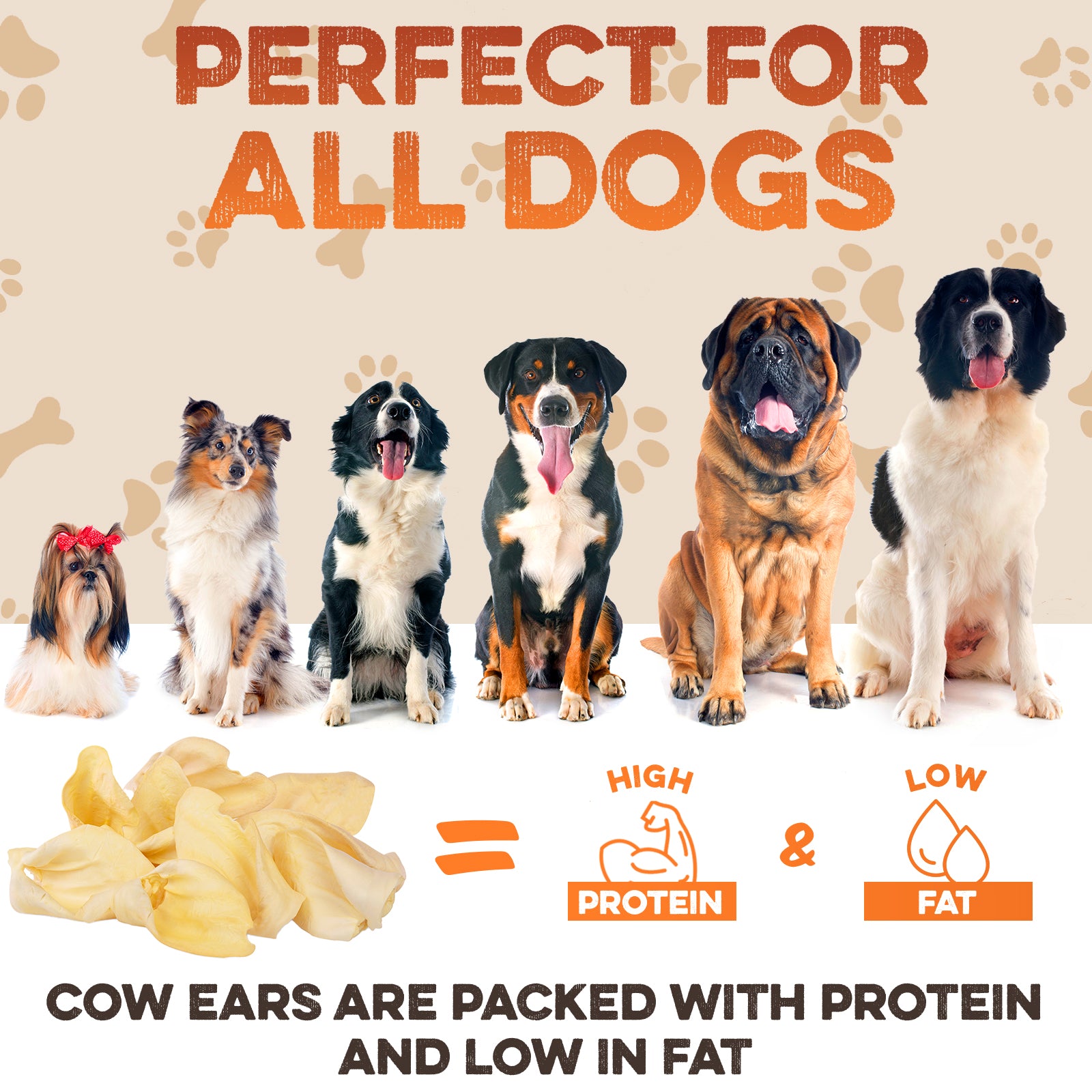 Cow ears dog treats: high protein, low fat, perfect for all dogs, natural chews for healthy pets