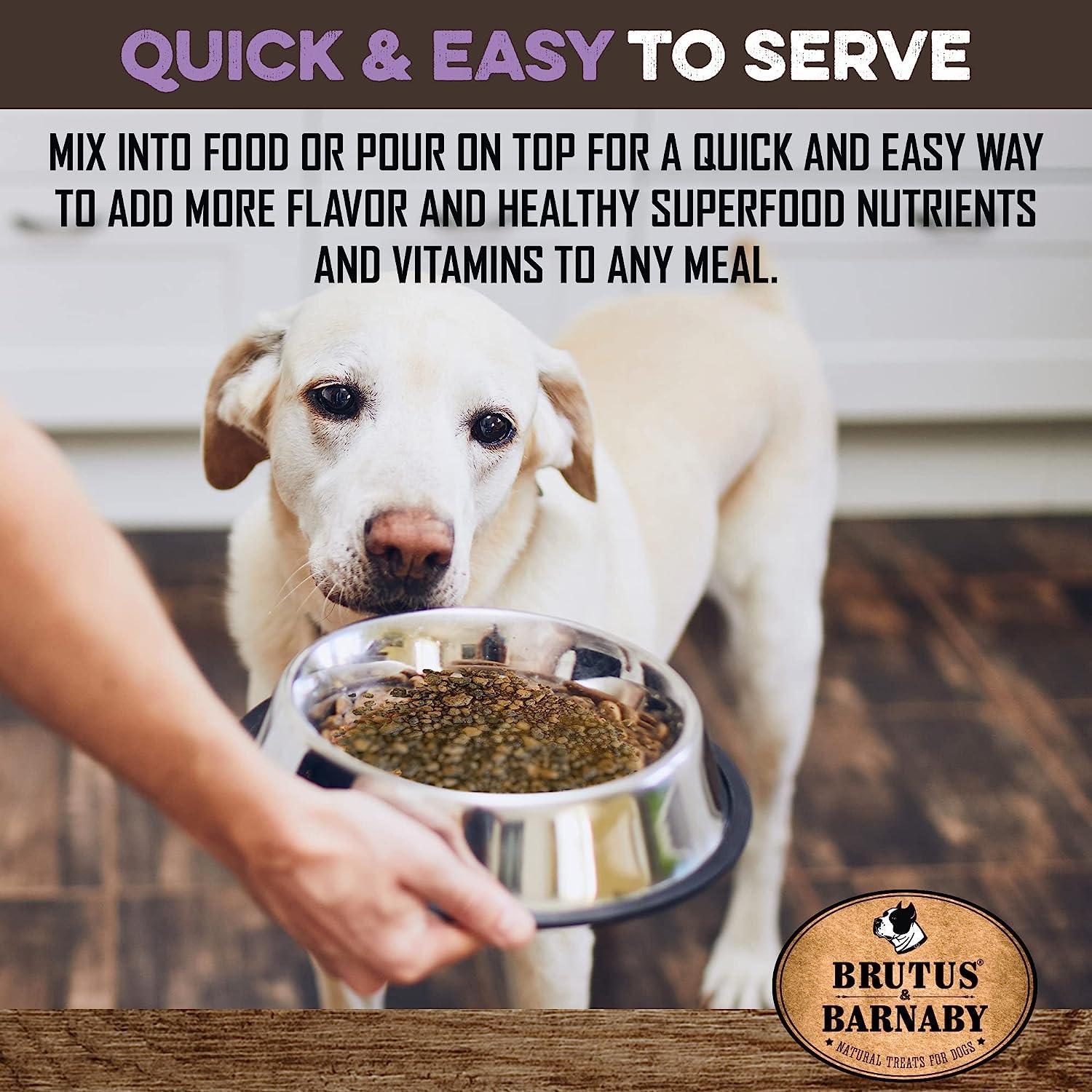 Dog eating natural superfood treat mix from bowl, healthy vitamins for meals, easy to serve