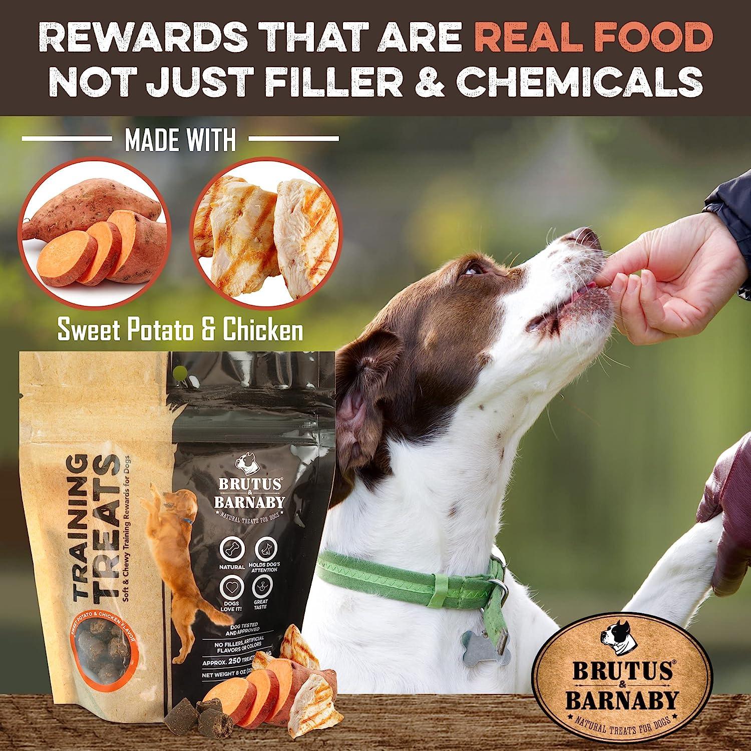 Dog enjoying natural sweet potato and chicken training treats, real food rewards for pets