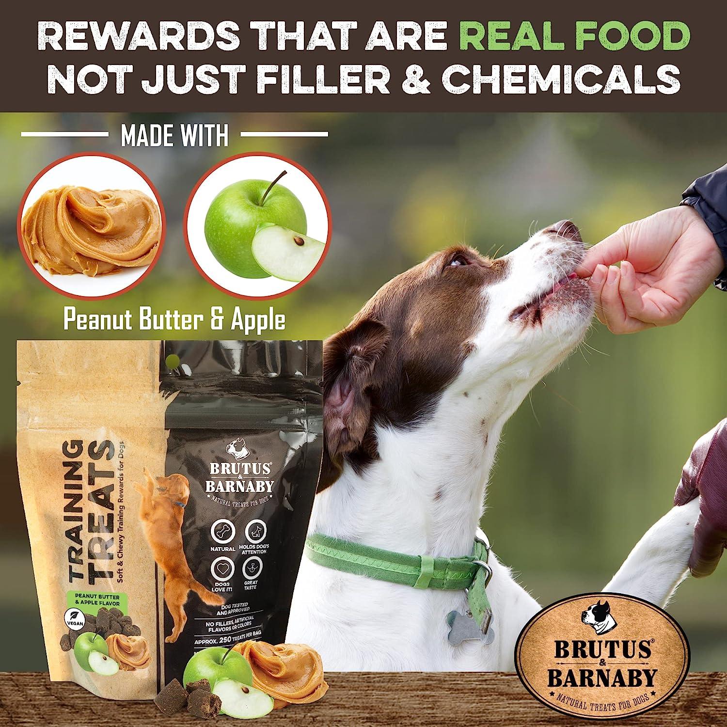 Dog enjoying peanut butter & apple training treats, natural real food rewards for dogs