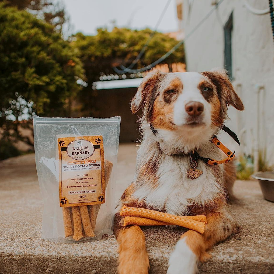 Dog with pumpkin & bacon sweet potato sticks, all-natural USA-made dog treats, gluten-free and high in fiber