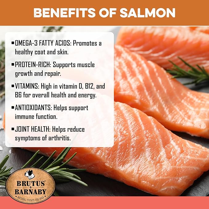 Fresh salmon fillets with rosemary, highlighting omega-3, protein, and vitamins for dog health