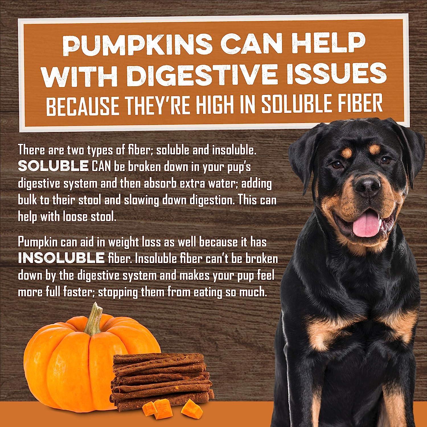 Happy Rottweiler with pumpkin dog treats explaining digestive benefits of soluble fiber for dogs