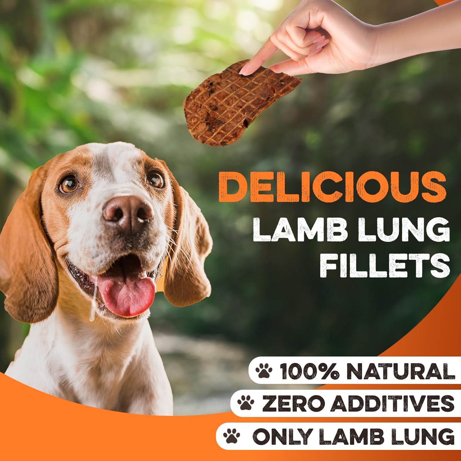 Happy dog eagerly eyeing a natural lamb lung fillet treat, 100% additive-free and made in USA
