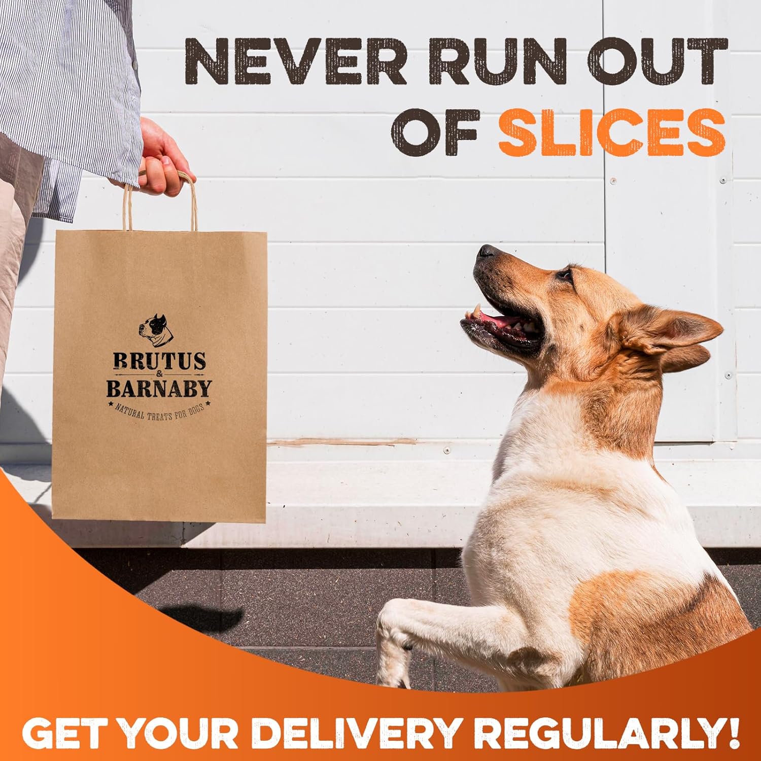Happy dog looking at Brutus & Barnaby natural dog treat bag, never run out of slices with regular delivery