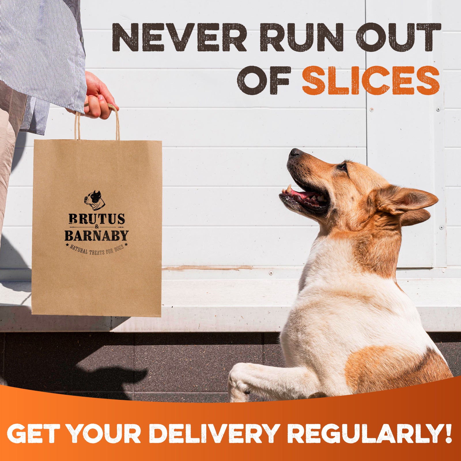 Happy dog looking at Brutus & Barnaby natural dog treat bag, never run out of slices with regular delivery