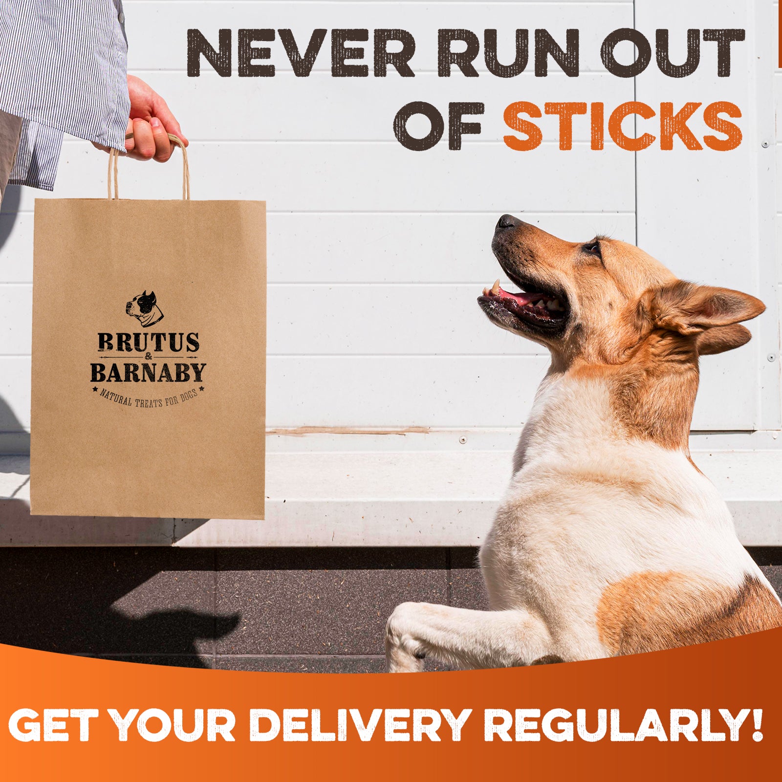 Happy dog looking up at a paper bag of natural dog treats and chews, never run out of sticks