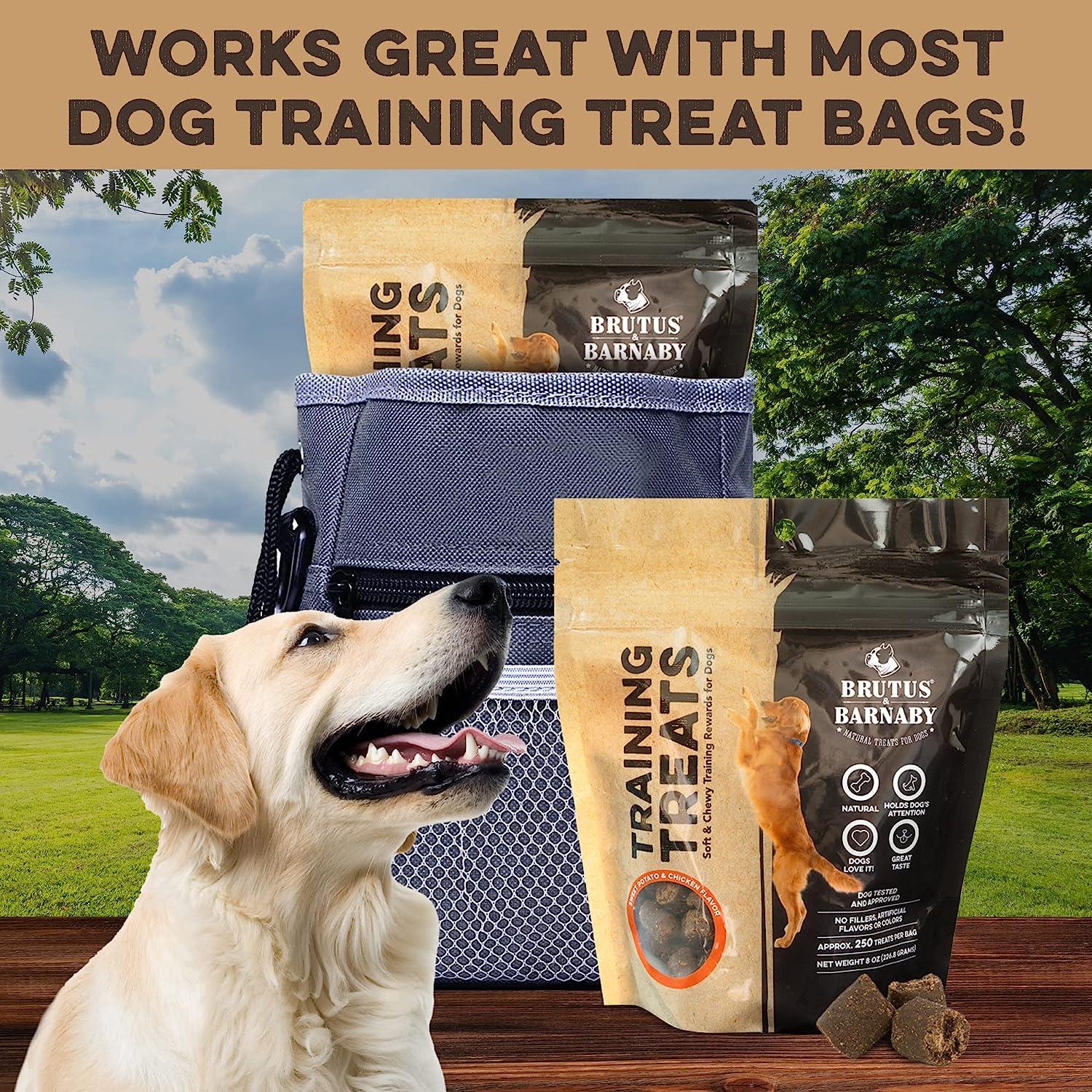 Happy dog with Brutus & Barnaby training treats and treat bag, perfect for outdoor training sessions