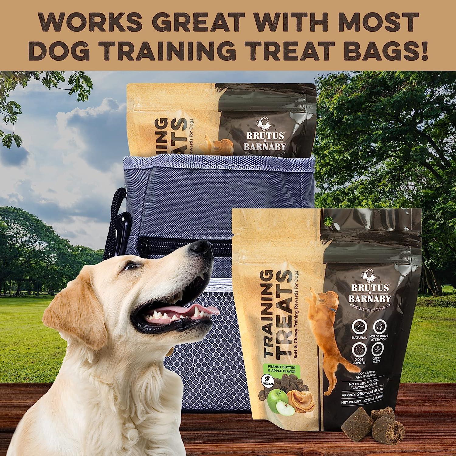 Happy dog with peanut butter apple training treats & treat bag, perfect for training sessions outdoors