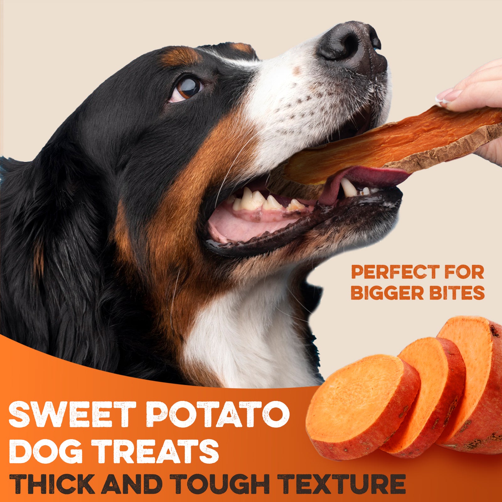 Sweet Potato Slices - Single Ingredient USA Grown, Zero Preservatives or Chemicals Added
