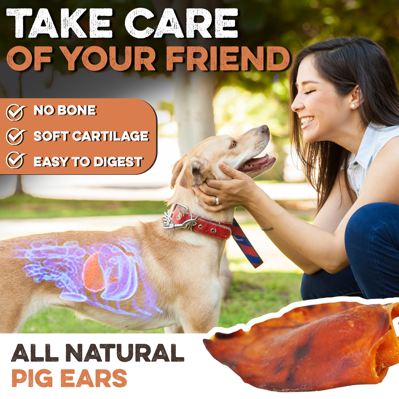 Pig Ears for Dogs - Large, Whole and Natural