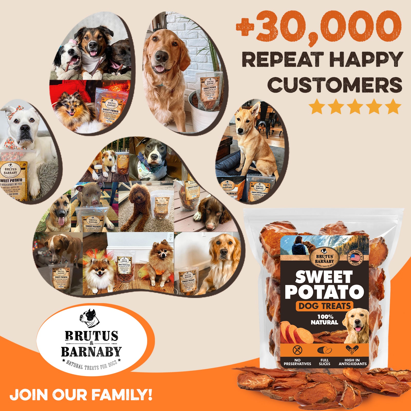 Sweet Potato Slices - Single Ingredient USA Grown, Zero Preservatives or Chemicals Added