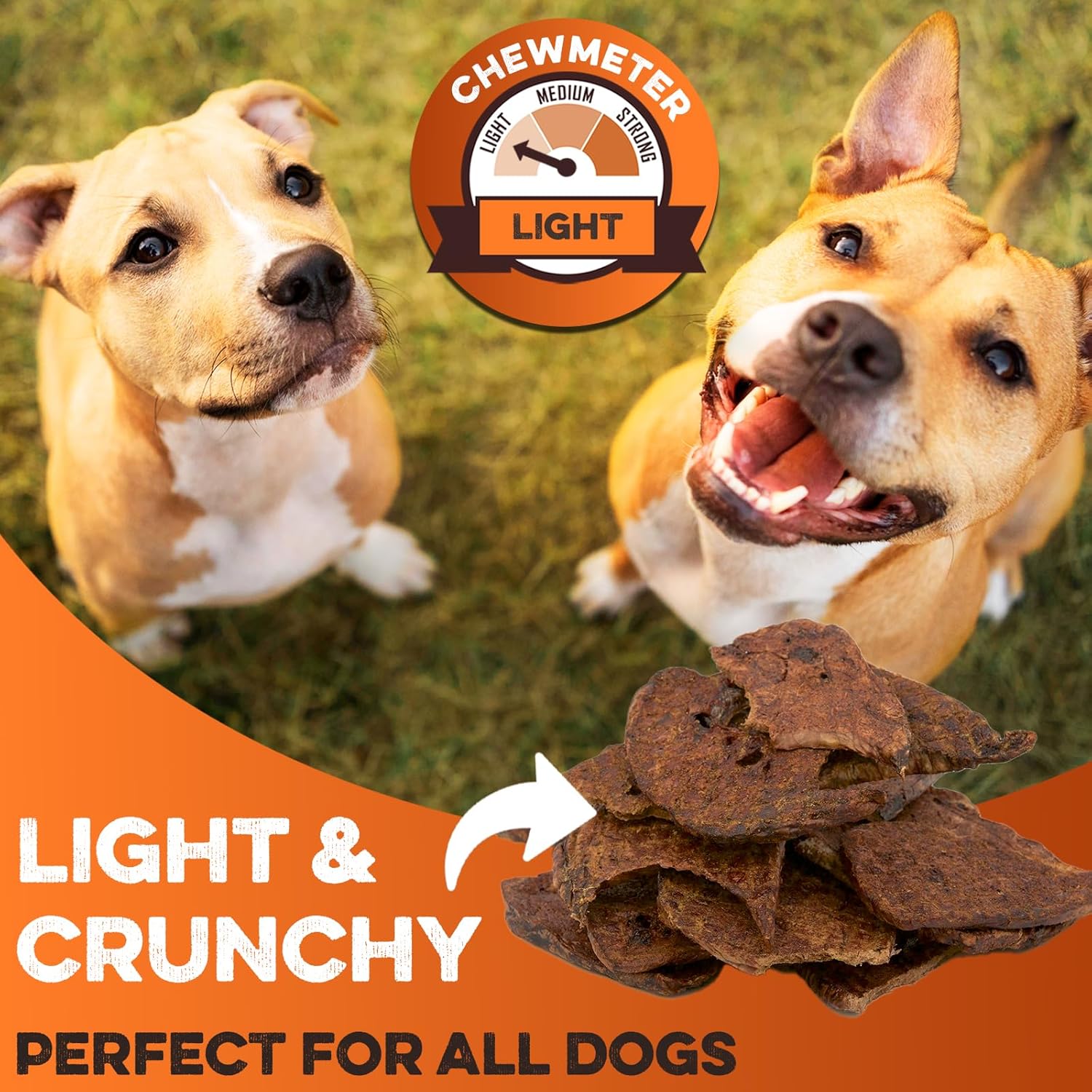 Light & crunchy all-natural dog treats perfect for all dogs, made in USA with chewmeter rating