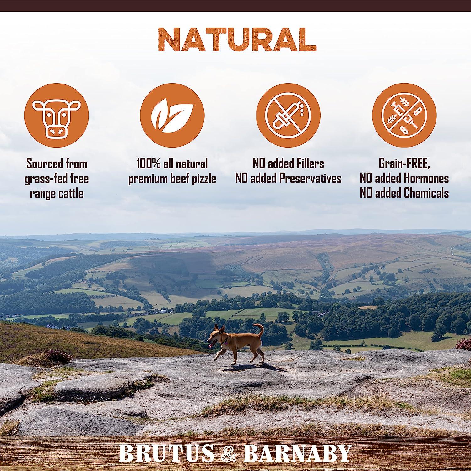 Natural dog treat benefits: grass-fed beef, no fillers or preservatives, grain-free, no hormones or chemicals