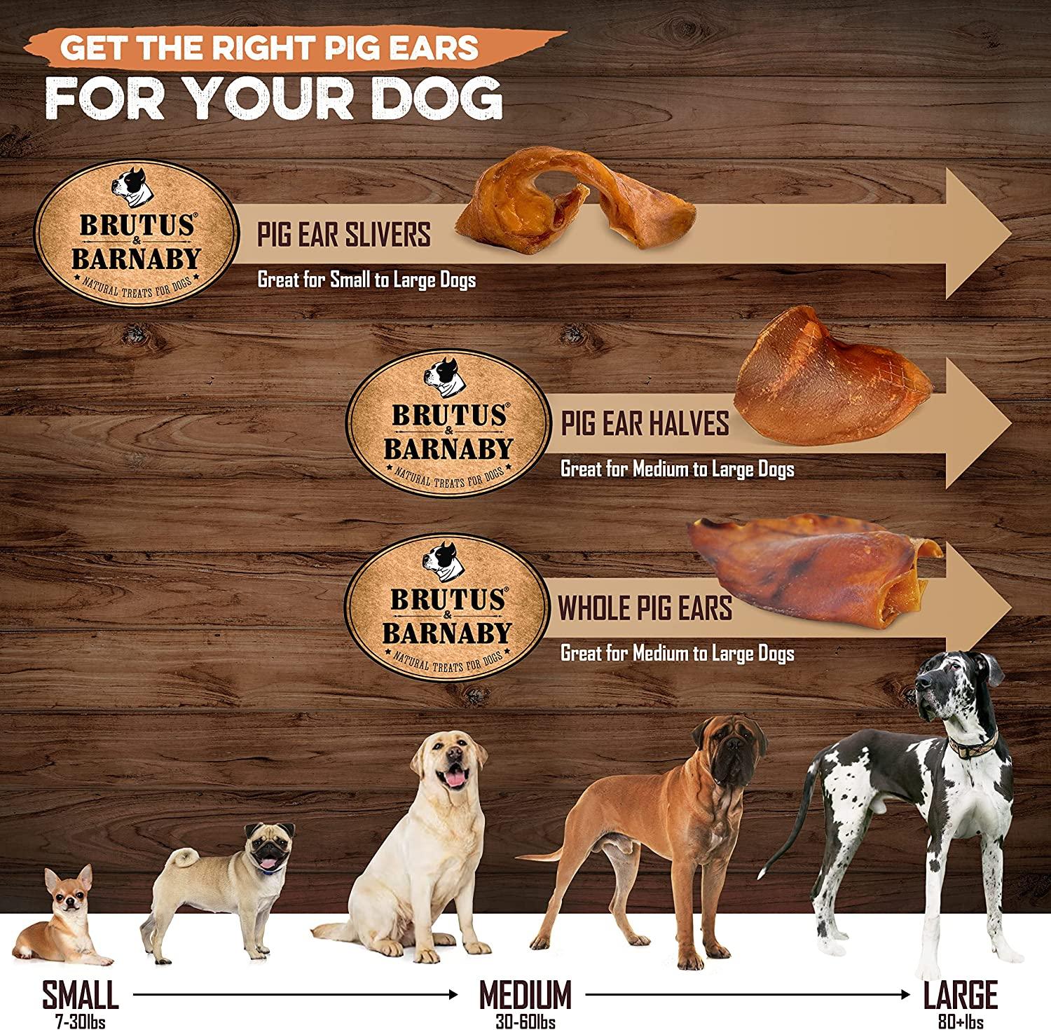 Pig ear dog treats guide: slivers, halves, whole ears for small to large dogs by weight