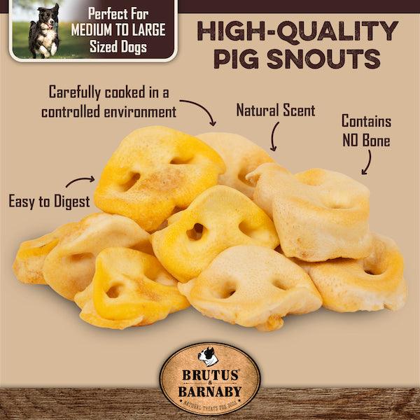 Pig Snout Dog Treat - 100% Natural Single Ingredient Pork Treat - Brutus & Barnaby