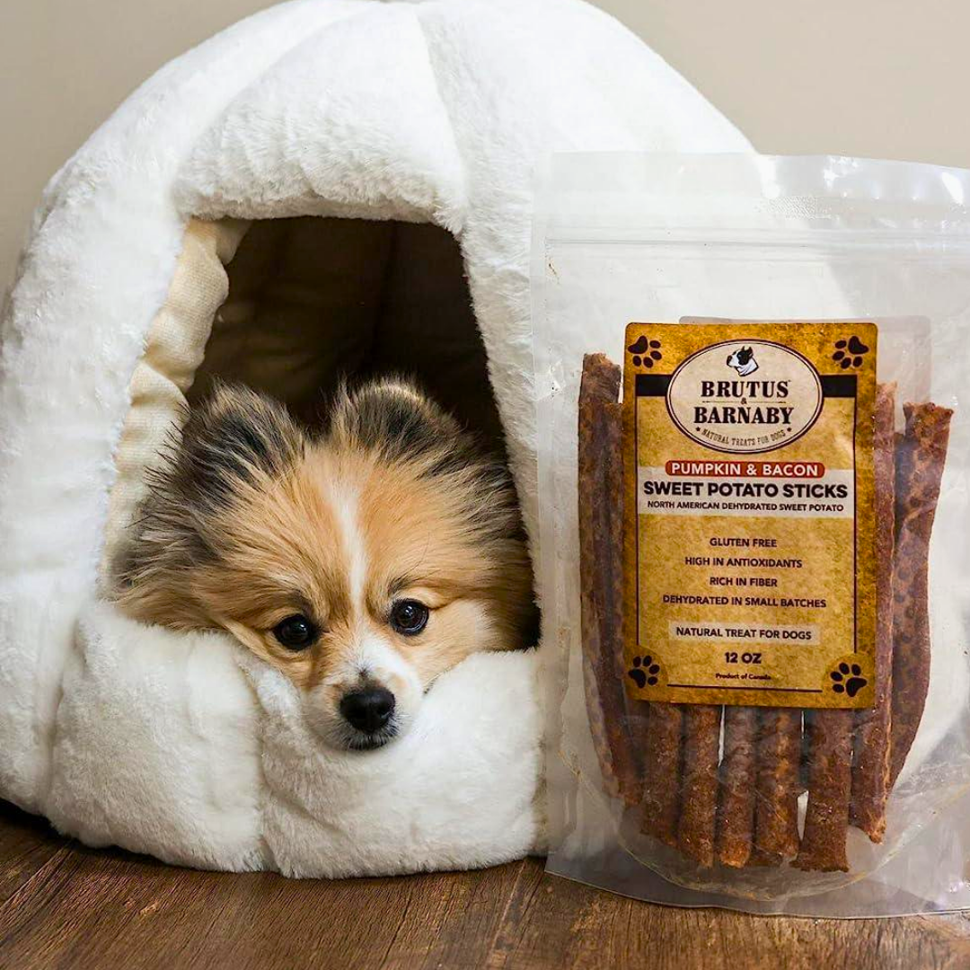 Pomeranian in cozy white dog bed beside pumpkin bacon sweet potato sticks treat bag