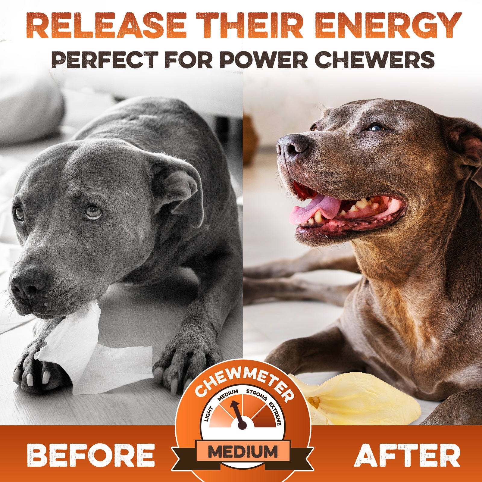 Power chewer dog before and after with medium chew treat, releasing energy safely