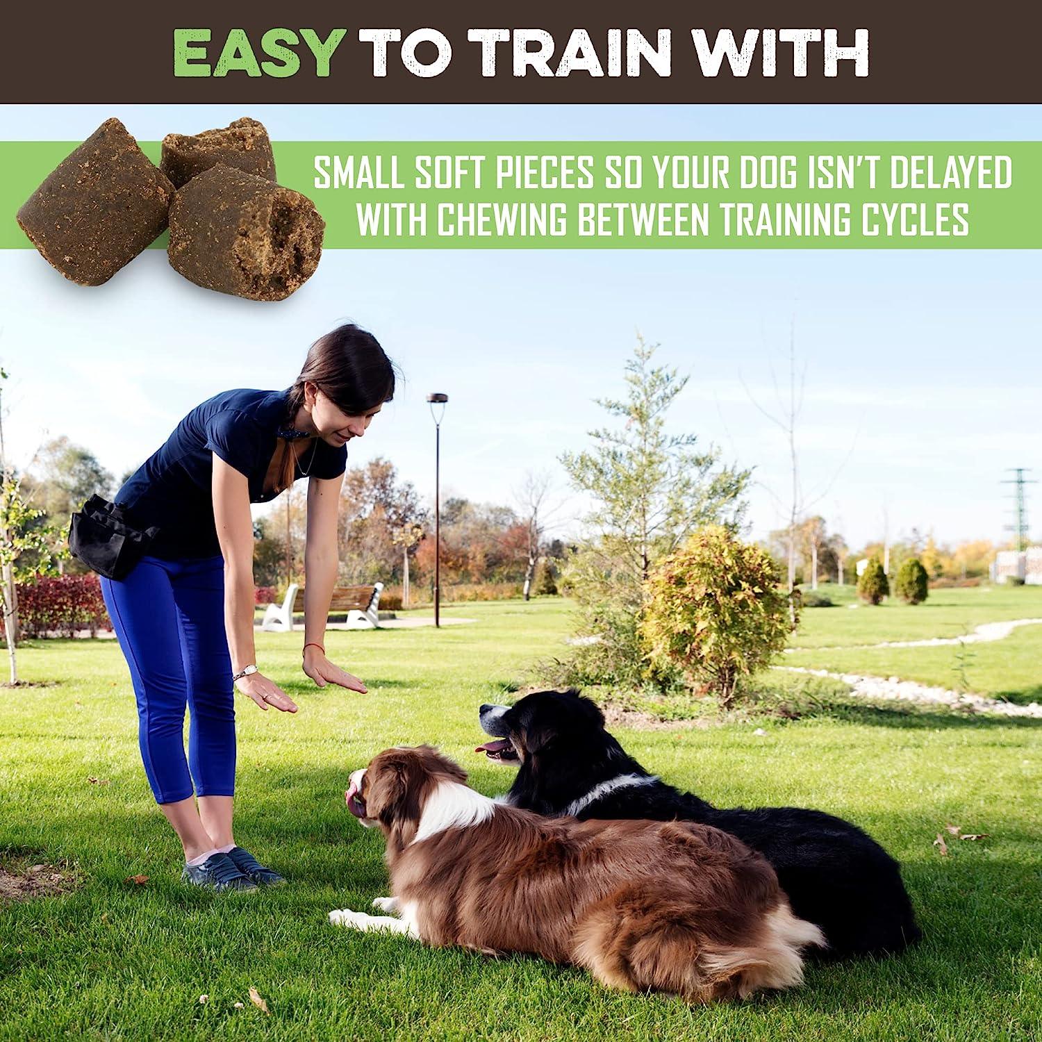Small soft dog training treats for quick rewards during outdoor training sessions with dogs
