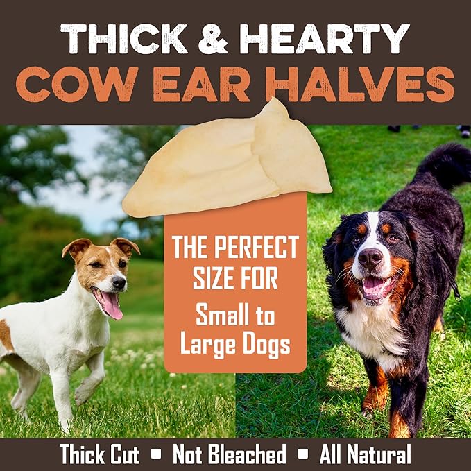 Thick & hearty cow ear halves for small to large dogs — all natural, not bleached, thick cut chew treat