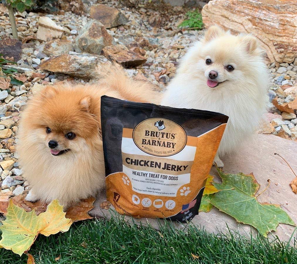 Two fluffy Pomeranians beside Brutus & Barnaby chicken jerky dog treats bag outdoors